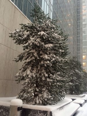 Grace Building by null