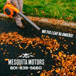 Mesquita Motors - At-Home Leaf Blower Repair! Or, let us blow the leaves for you!
