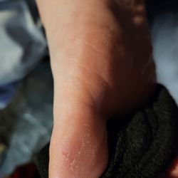 The Nailery