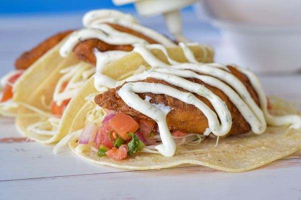 Surf Bagel Lewes by null