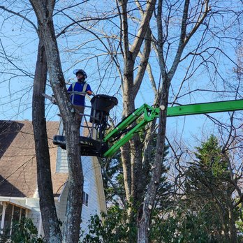 Sesmas Tree Service - Tree Services Near Me - Lawrenceville, Georgia Sesmas Tree Service - Tree Services Near Me - Lawrenceville, Georgia