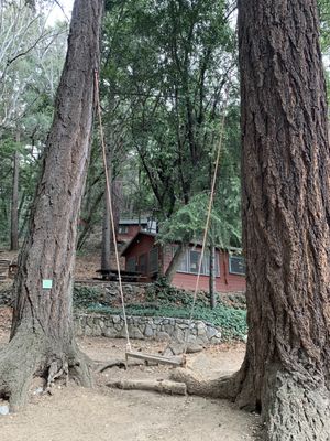 Sturtevant Camp by null