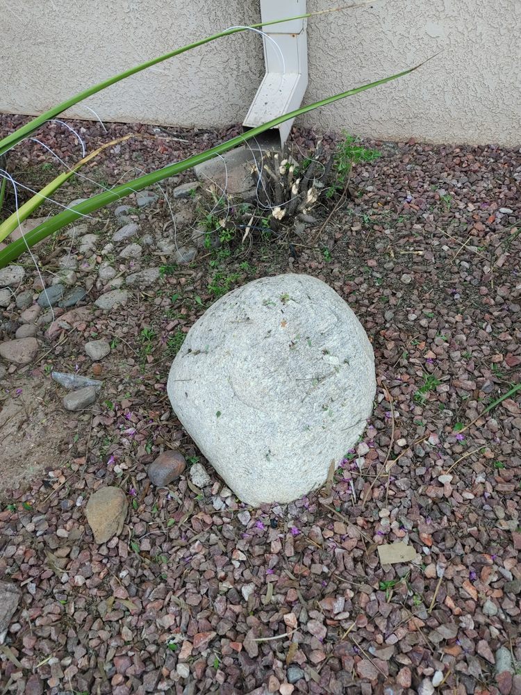 ENVIRONMENT CONTROL OF TUCSON Updated October 2024 301 E Ft Lowell