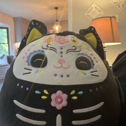 Goodwill Store and Donation Center - Here is the Squishmallo kitty I got