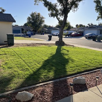 MBM Landscape services - Front yard after fabulous service - Tree Services Near Me MBM Landscape services - Front yard after fabulous service - Tree Services Near Me