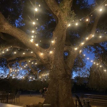 Baja Wine And Dine Tours - Wine sampling area - Wineries Near Me