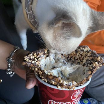 Cold Stone Creamery - Ice Cream & Frozen Yogurt Near Me - Cerritos, California