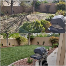 Before and after Bud's