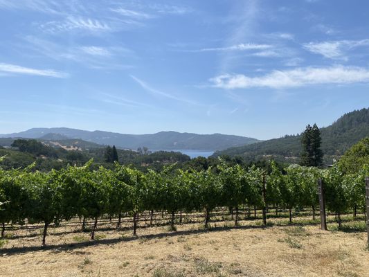 Aonair Winery & Caves by null