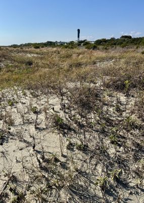 Sullivan's Island Beach by null