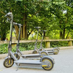 Central Park Bicycles NYC - Trending ... Electric Scooter Rental