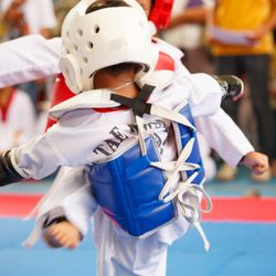 Kyung hee logos martial arts - Sparring