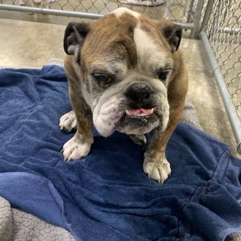 Stonemill Pet Resort - Pet Groomers Near Me - Tipton, Iowa Stonemill Pet Resort - Pet Groomers Near Me - Tipton, Iowa