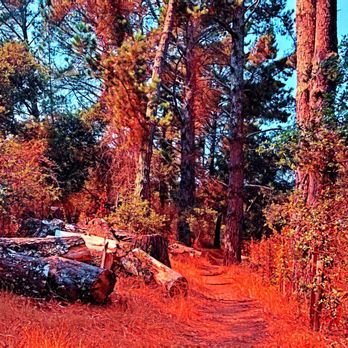 San Andreas Trail - San Andreas Trail - Hiking Near Me San Andreas Trail - San Andreas Trail - Hiking Near Me