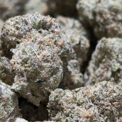 Big Chiefs Kush
