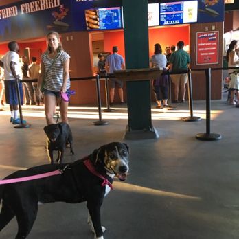 Jacksonville Jumbo Shrimp - Professional Sports Teams Near Me - Jacksonville, Florida