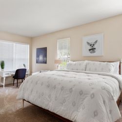 525 Avalon Park