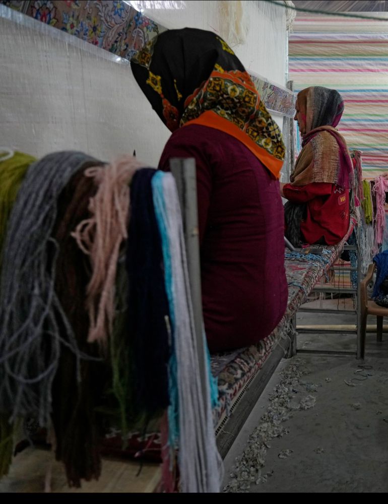 MODERN RUG IMPORTERS Updated 2024 149 Photos & 49 Reviews 514 E