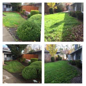Superior Lawn Services - Lawn maintenance - Lawn Services Near Me Superior Lawn Services - Lawn maintenance - Lawn Services Near Me