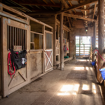 Running D - Horse Boarding Near Me - Norco, California Running D - Horse Boarding Near Me - Norco, California