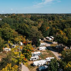 John Gurney Park - Wooded sites