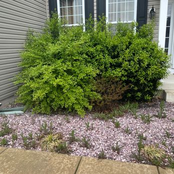 Virtuous Sphere Lawncare - a shrub in front of a house - Lawn Services Near Me Virtuous Sphere Lawncare - a shrub in front of a house - Lawn Services Near Me