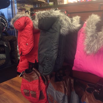 pet valu dog coats