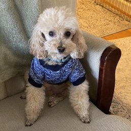Toby