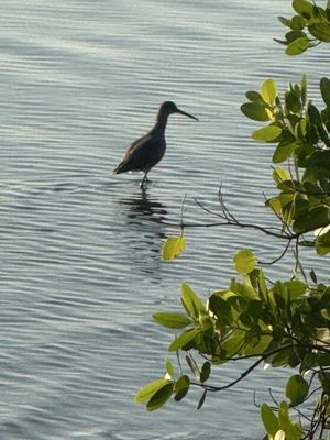 Philippe Park by null