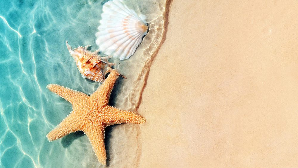 Simpson & Paull, P - divorce attorney in Jacksonville Beach, FL