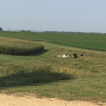 Rustic Barn Campground & RV Park - The cows are close enough for your dogs to bark at them. - RV Parks Near Me - Kieler, Wisconsin Rustic Barn Campground & RV Park - The cows are close enough for your dogs to bark at them. - RV Parks Near Me - Kieler, Wisconsin