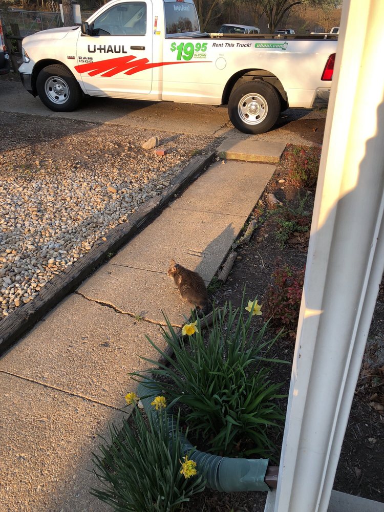 JONAS SNOW REMOVAL AND LANDSCAPING Updated August 2024 5420 Oakwood