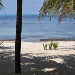 Izla Hotel - Worst "beach"