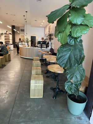 Sextant Coffee Roasters by null