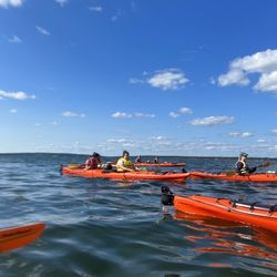 Coastal Kayaking Tours