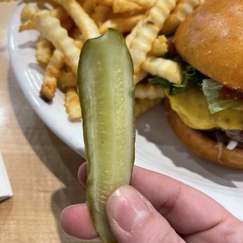 The Maple Pig - Limp pickle. - Barbeque Near Me - Presque Isle, Maine