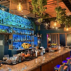 Odd Birds Kitchen and Cocktail Lounge - Bar