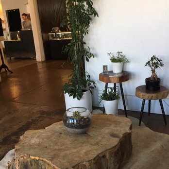 Somatic Body Piercing - Inside displays - Piercing Near Me - Long Beach, California