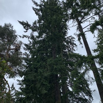Hoyt Arboretum - Botanical Gardens Near Me - Portland, Oregon