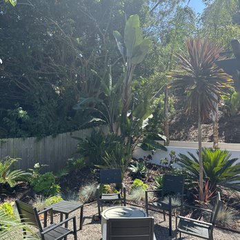Three Brothers Tree Service - After - Tree Services Near Me Three Brothers Tree Service - After - Tree Services Near Me