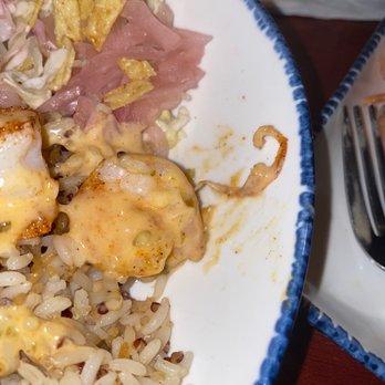 Red Lobster - Third shrimp leg in Baja shrimp dish - Seafood Near Me - Monroe, Louisiana Red Lobster - Third shrimp leg in Baja shrimp dish - Seafood Near Me - Monroe, Louisiana
