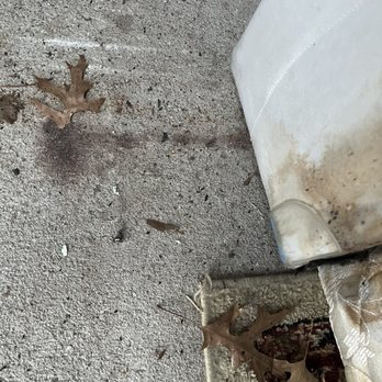 Public Storage - Rodent poop - Self Storage Near Me - Overland Park, Kansas Public Storage - Rodent poop - Self Storage Near Me - Overland Park, Kansas