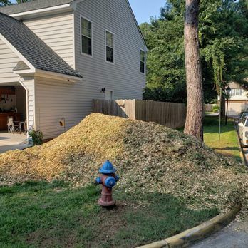 Butch's Tree Service, Inc. - High quality service. - Tree Services Near Me - Suffolk, Virginia Butch's Tree Service, Inc. - High quality service. - Tree Services Near Me - Suffolk, Virginia