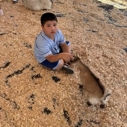 Alameda County Fair - Grandson with super kid.