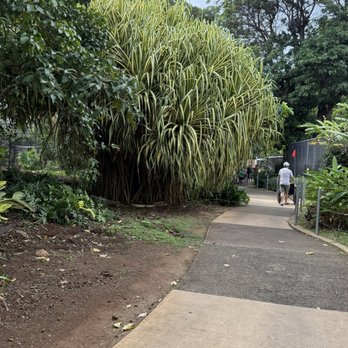 Honolulu Zoo - Zoos Near Me - Honolulu, Hawaii