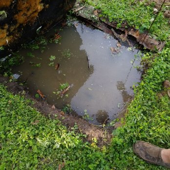 All In One Septic - The back up of my backyard - Septic Services Near Me - Lakeland, Florida All In One Septic - The back up of my backyard - Septic Services Near Me - Lakeland, Florida