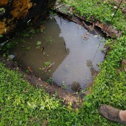 All In One Septic - The back up of my backyard
