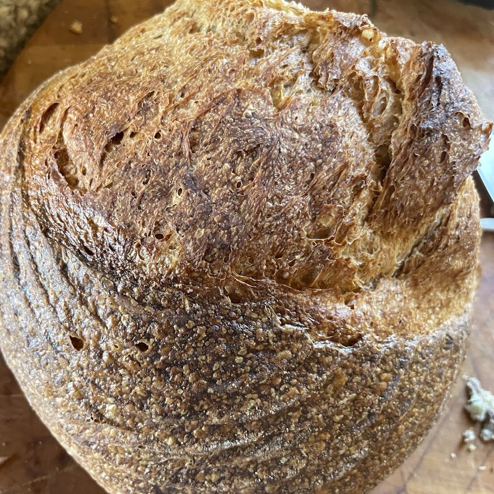 Coffeebar Bakery - Gluten Free Sourdough - Bakeries Near Me - Truckee, California