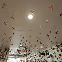 CulturArts - This is inside the store .