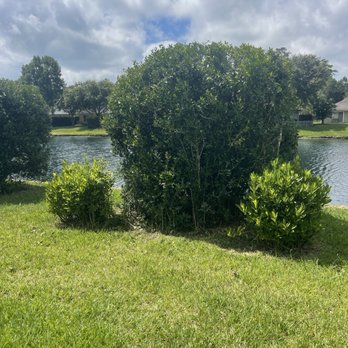 CSI Florida Landscaping - He did not clean the beds trim the other bushes like he said. It was a joke. - Landscaping Near Me - Jacksonville, Florida CSI Florida Landscaping - He did not clean the beds trim the other bushes like he said. It was a joke. - Landscaping Near Me - Jacksonville, Florida
